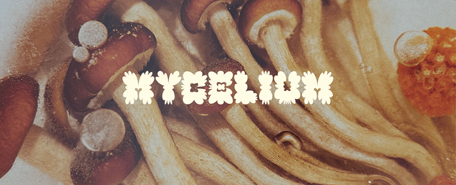 How mushroom gummies work