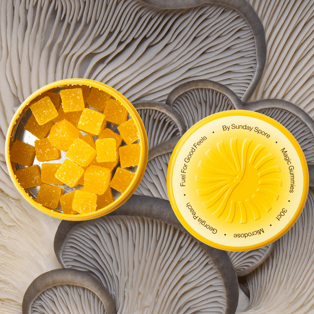 Sunday Spore Microdose gummies lifestyle